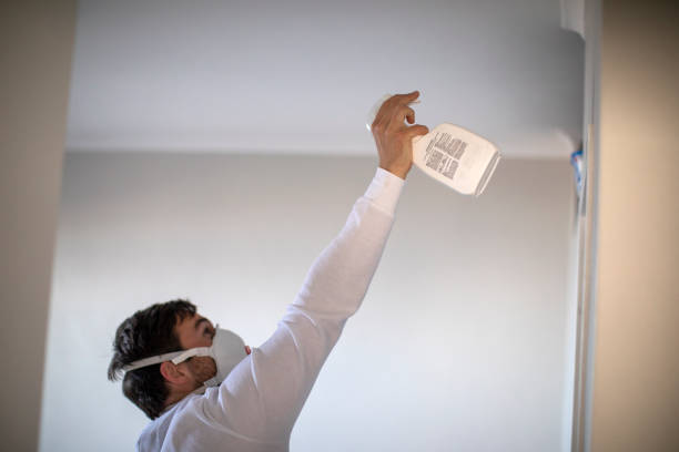Best Crawl Space Mold Removal  in Evergreen, CO