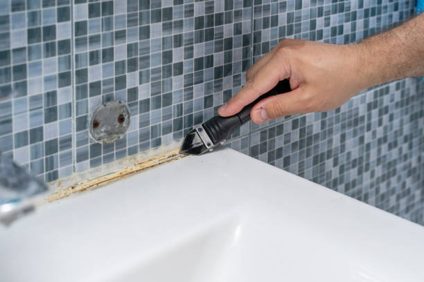 Best Commercial Mold Removal  in Evergreen, CO